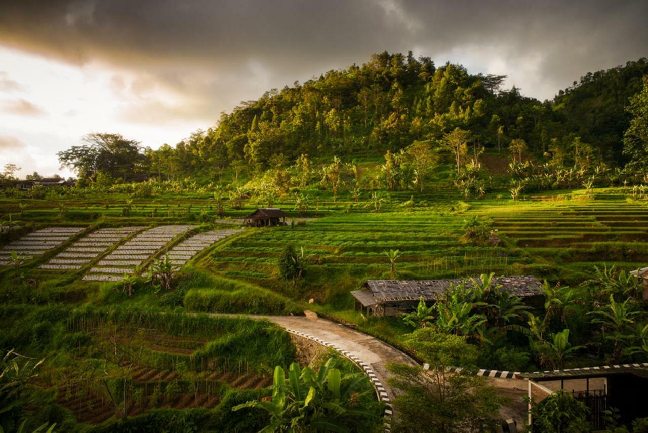 Omah Joglo Salere Bed and Breakfast Tawangmangu Exterior foto